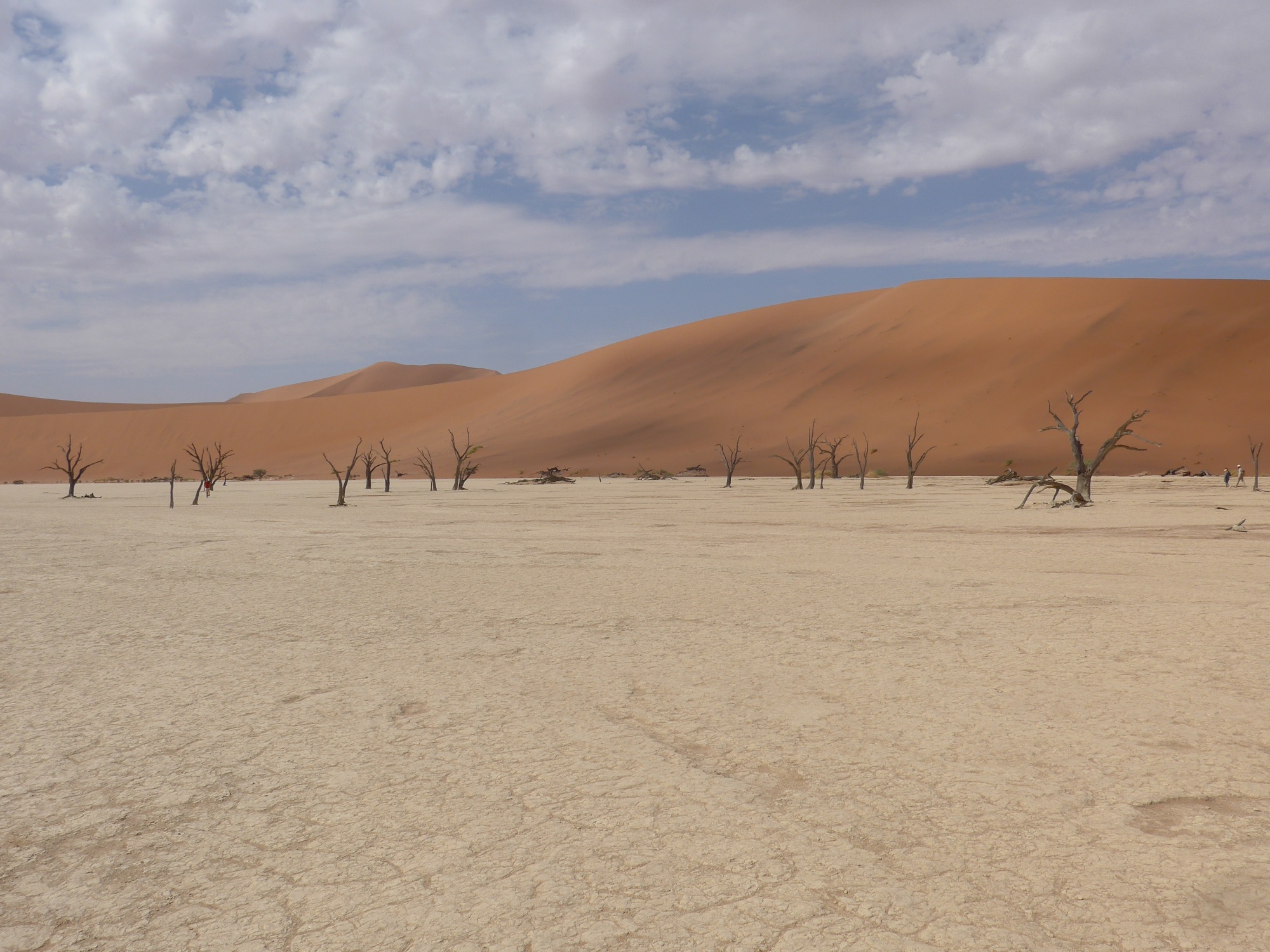 Die Highlights Namibias